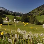 Berghof 호텔 3*