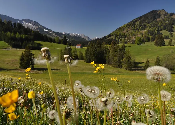 Berghof Hotel 3*
